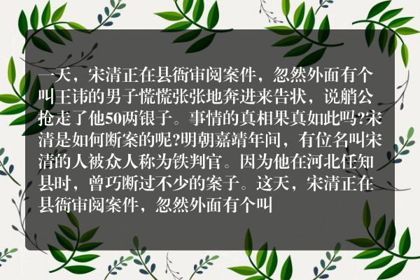 宋清请猫