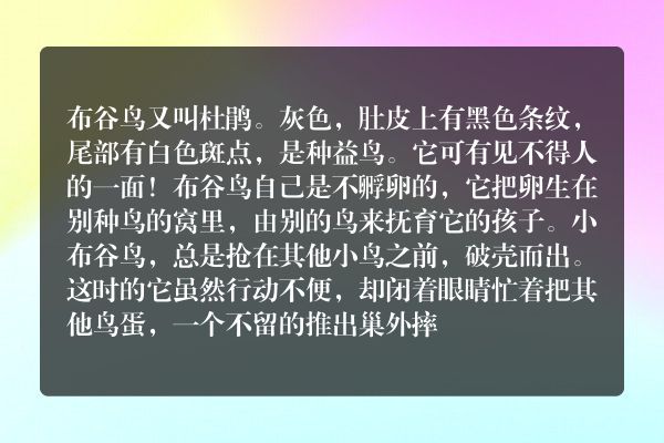 盲目的爱