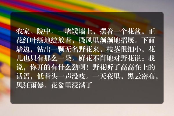 盆花与野花