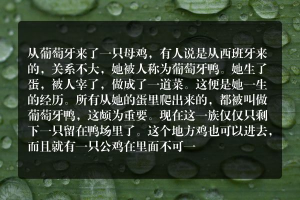 安徒生童话：在鸭场里