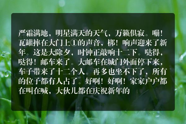 安徒生童话：搭邮车来的十二位