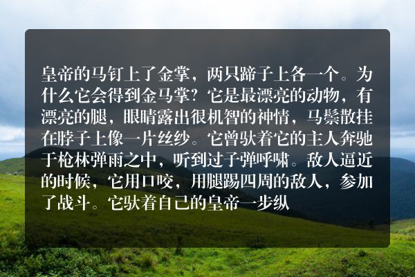 安徒生童话：屎壳郎