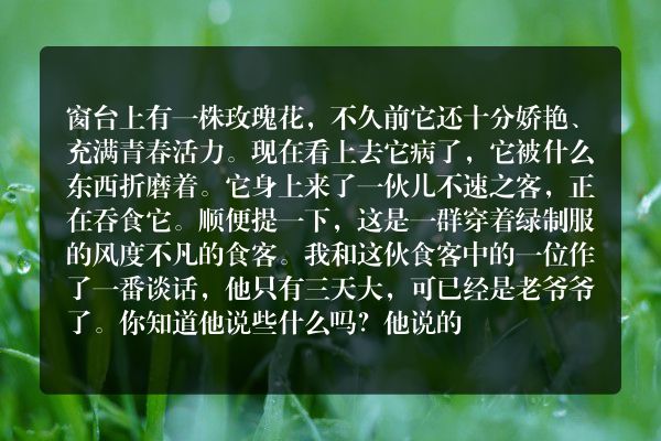 安徒生童话：绿色的小东西