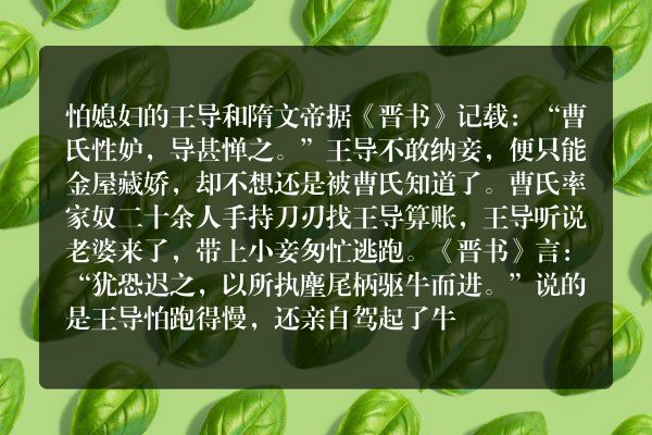 怕媳妇的王导和隋文帝