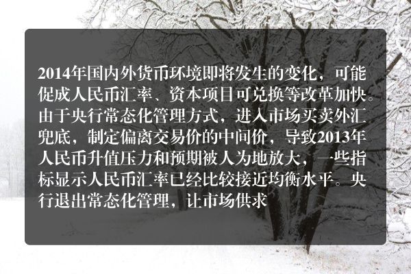 丁志杰：中国需摆脱外汇储备重荷