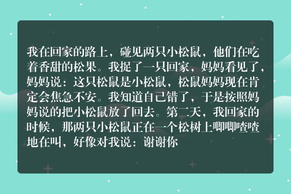 路上的松鼠