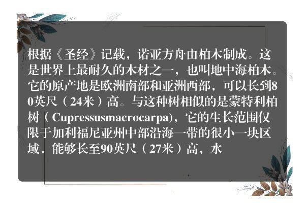 诺亚方舟是什么木头做的？