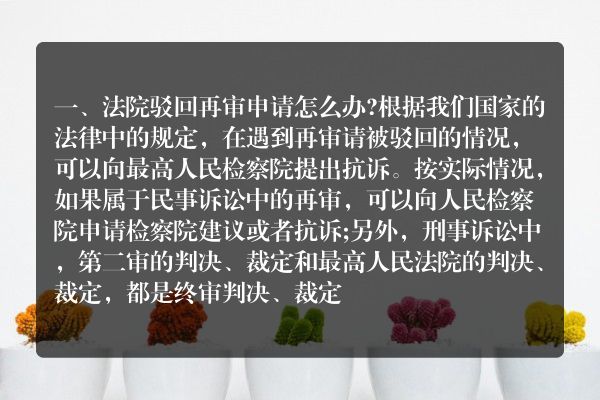 法院驳回再审申请怎么办？