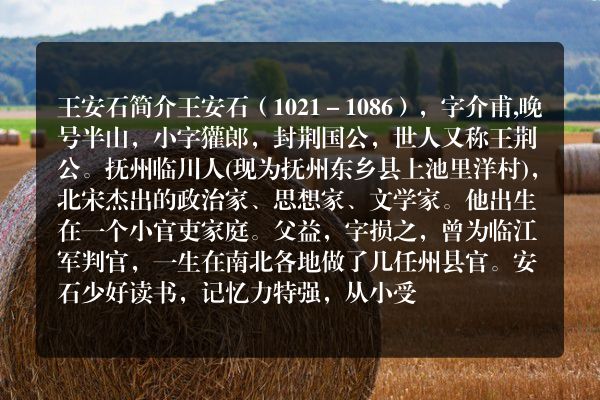 王安石简介