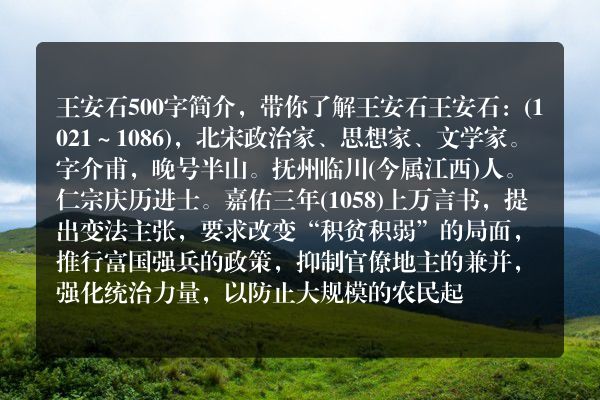 王安石500字简介，带你了解王安石