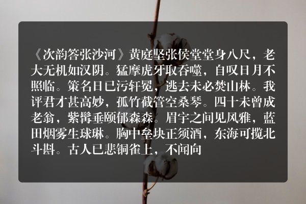 《次韵答张沙河》次韵答张沙河古诗_次韵答张沙河黄庭坚原文、翻译、赏析和诗意