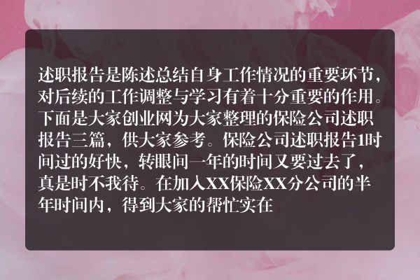 保险公司述职报告三篇