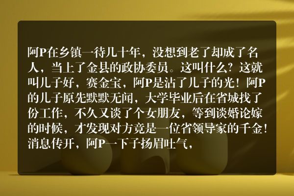 阿ｐ当委员(阿ｐ当委员的故事)