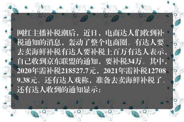 电商达人也要补税了！有人要补今年和去年个税100万