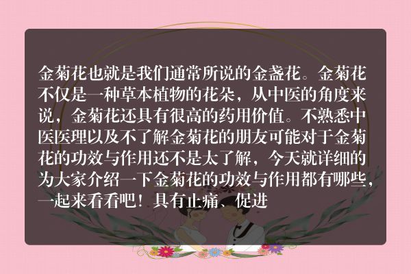 金菊花的功效与作用是什么