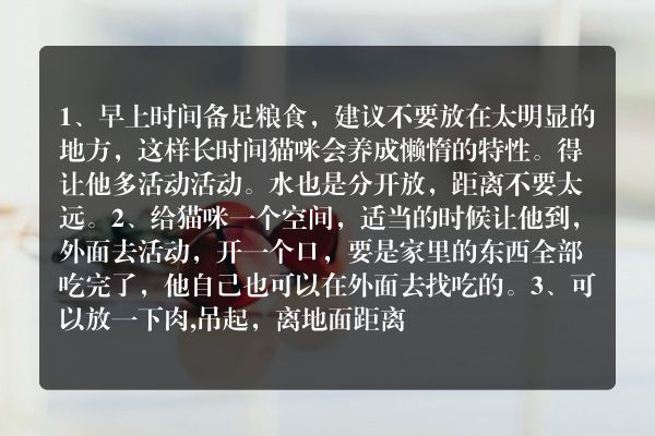 上班族如何养猫