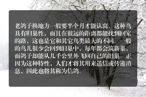 老鸽子换地方多久认窝