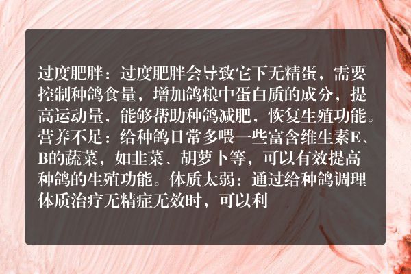 鸽子无精蛋是什么原因