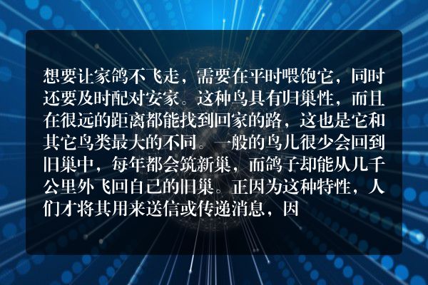 家鸽怎么养不飞走