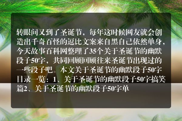 关于圣诞节的幽默段子50字35个