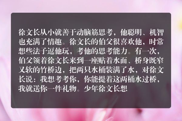 徐文长智慧的故事