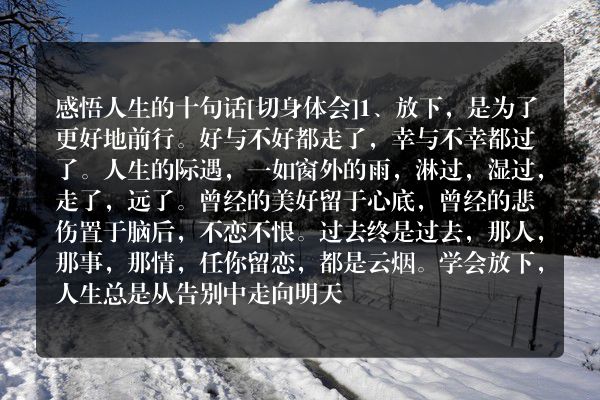 感悟人生的十句话[切身体会]