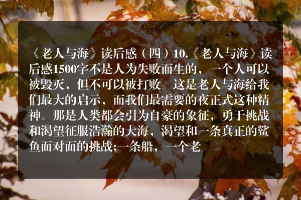 《老人与海》读后感（四）