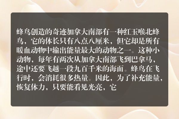 蜂鸟创造的奇迹