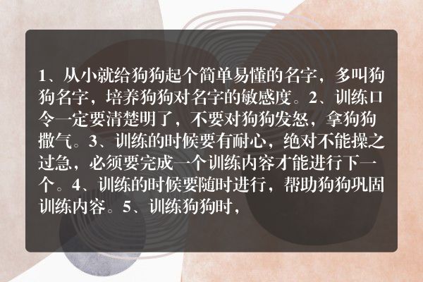 怎么训练狗狗