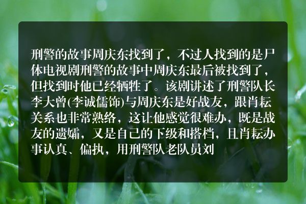 刑警的故事周庆东最后找到吗？