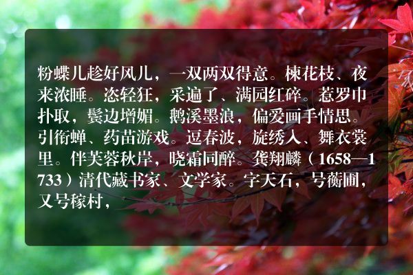 粉蝶儿