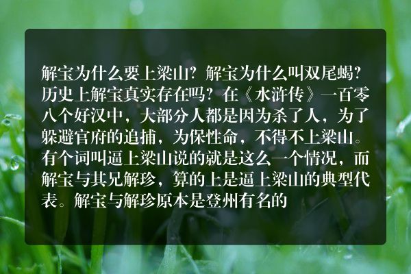 解宝为什么要上梁山？解宝为什么叫“双尾蝎”？历史上解宝真实存在吗？