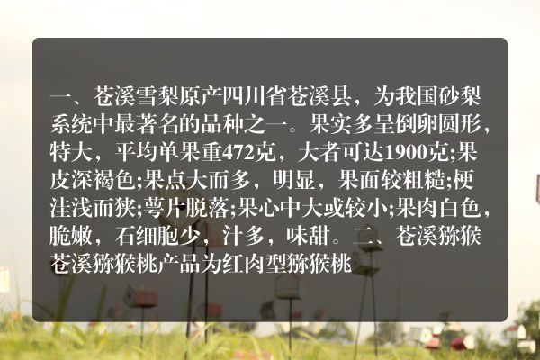 四川广元土特产品排行榜
