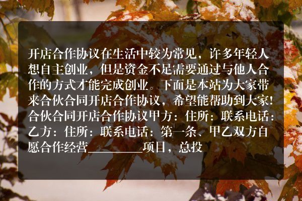 合伙合同 开店合作协议