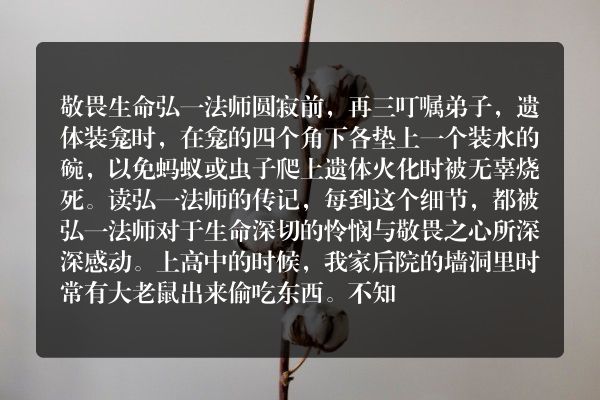 敬畏故事100字？
