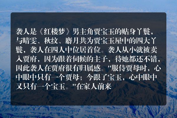 袭人判词解读 袭人有心机吗？
