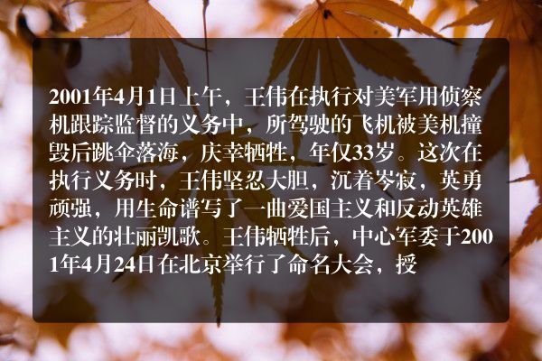 《王伟》——海空卫士