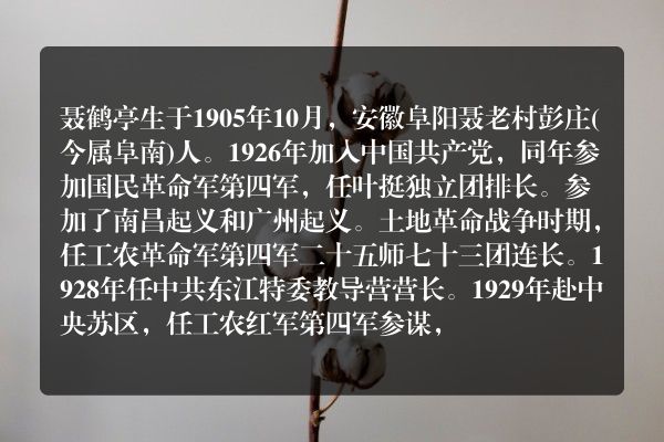 聂鹤亭