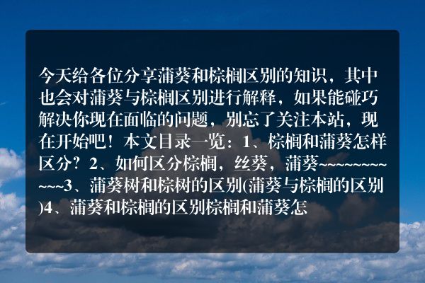 蒲葵和棕榈区别（蒲葵与棕榈区别）
