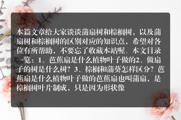 蒲扇树和棕榈树（蒲扇树和棕榈树的区别）