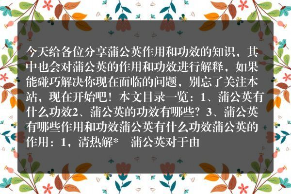 蒲公英作用和功效（蒲公英的作用和功效）