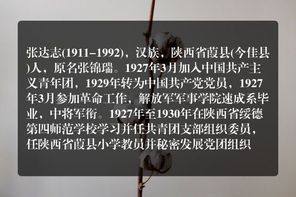 张达志