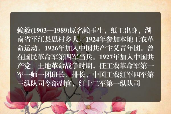 赖毅
