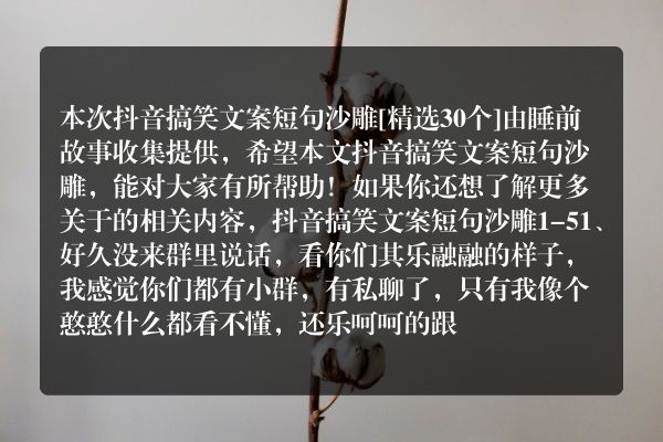 抖音搞笑文案短句沙雕30个