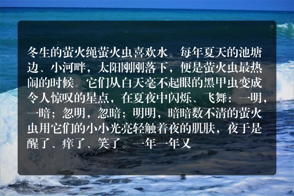 冬生的萤火绳