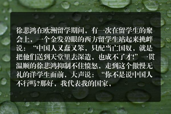 “看谁是蠢材”