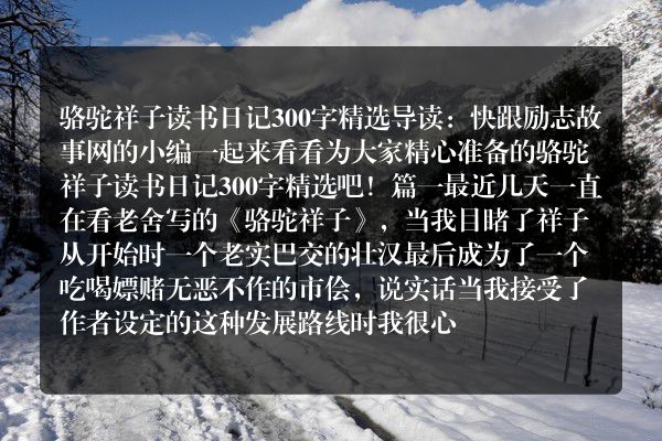 骆驼祥子读书日记300字精选