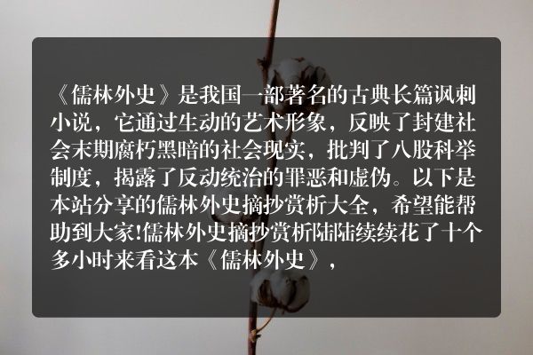 儒林外史摘抄加赏析|儒林外史摘抄赏析大全