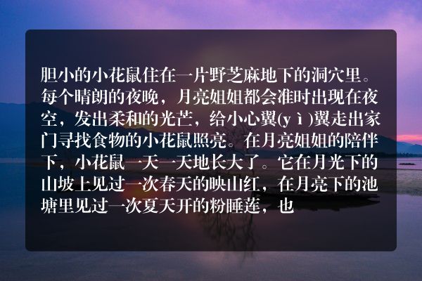 小花鼠的生日
