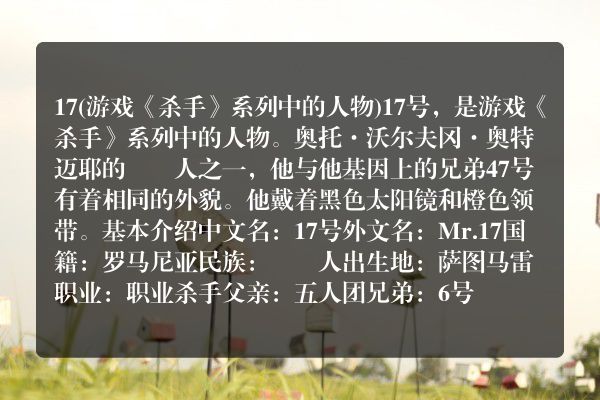 17(游戏《杀手》系列中的人物)